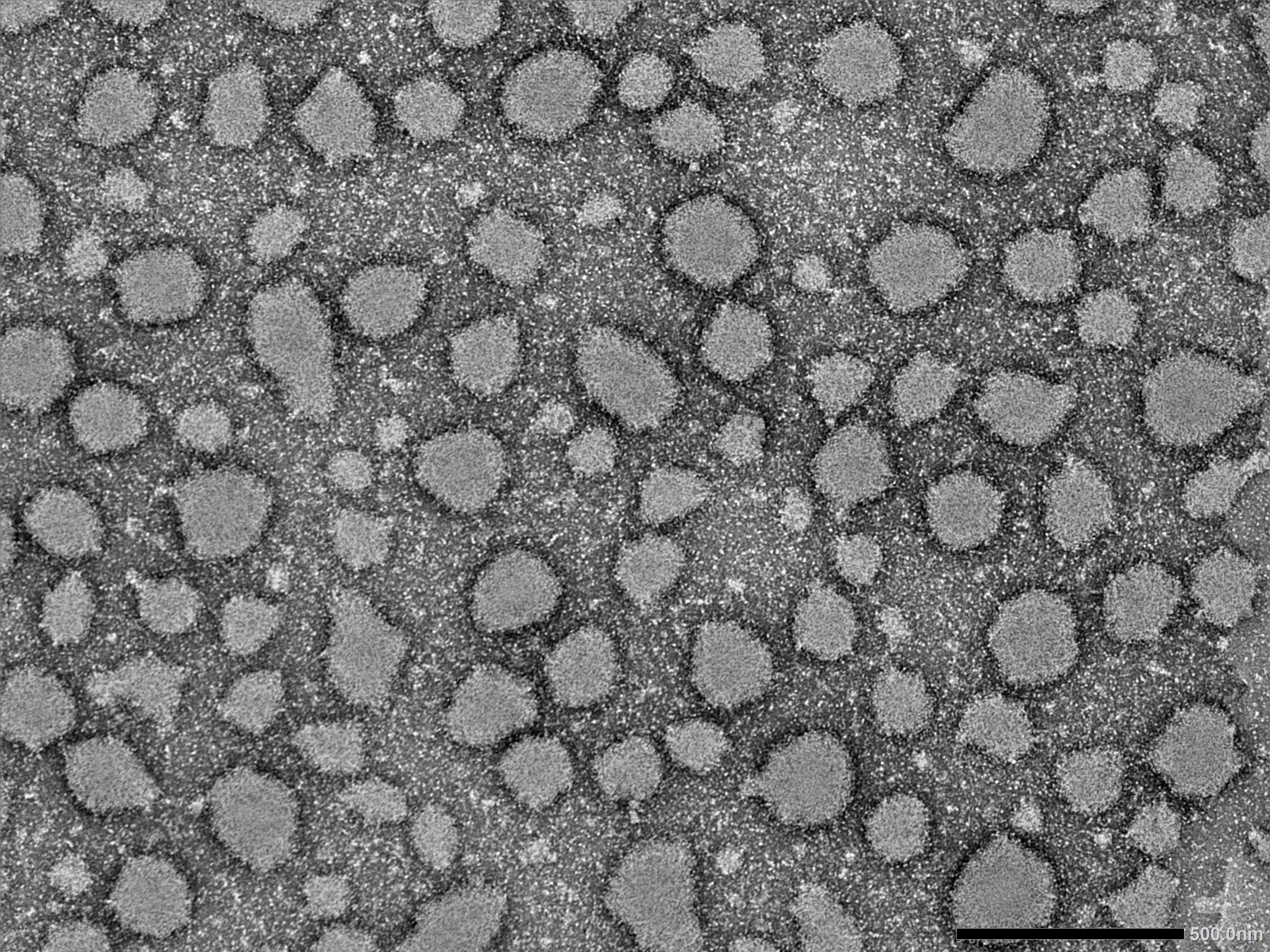 Nanostructured protein delivery platform