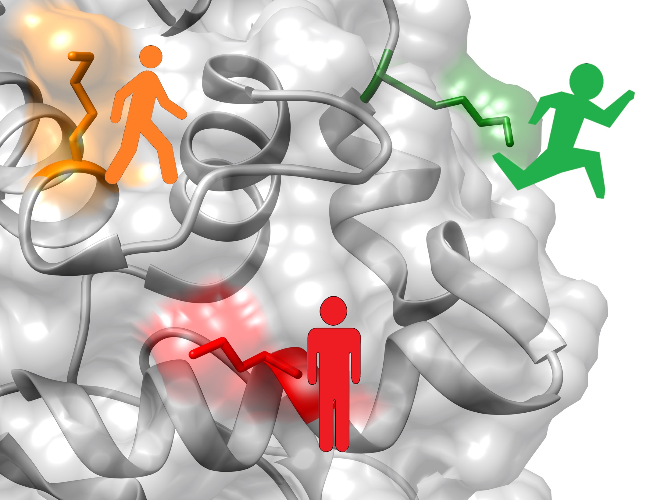 Computational model of a biomolecular interface
